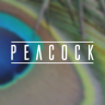 DohTheme - Peacock